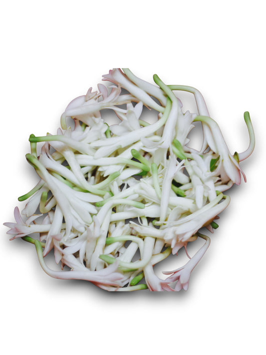 Tuberose Flowers