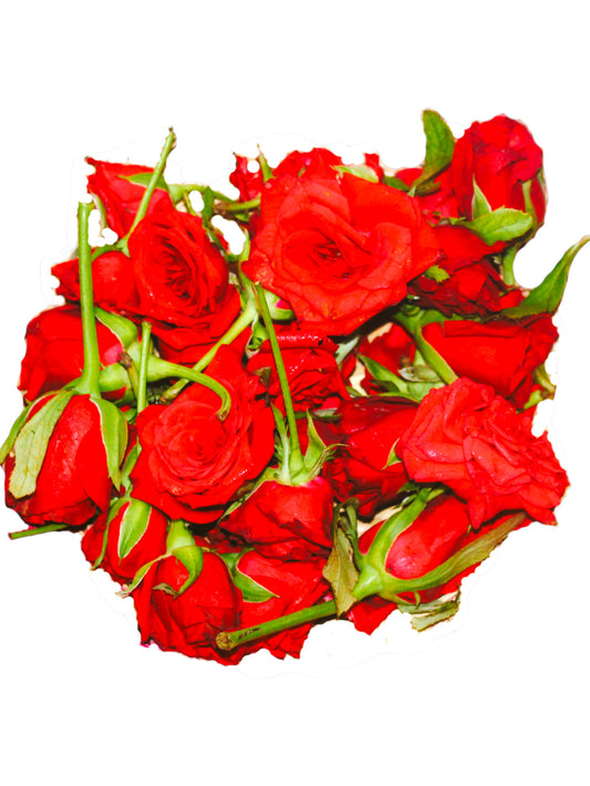Rose Flowers