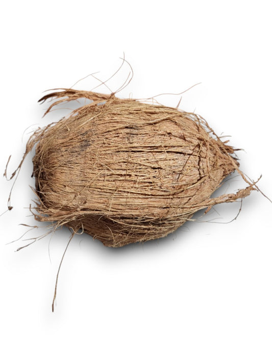 Coconut